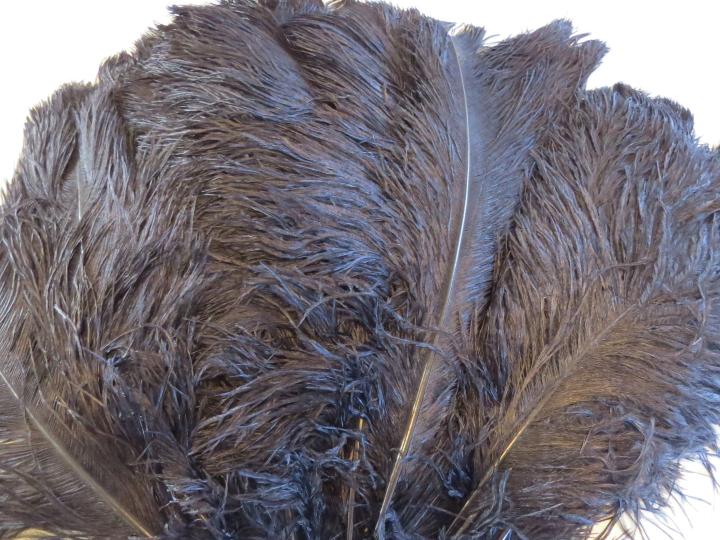 black-plumes-24cm-bulk