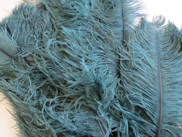 teal-plumes-45cm-bulk
