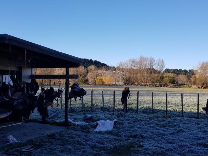 We had a heavy frost every evening and morning