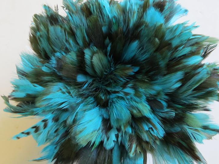 Aqua caramel cream strung schlappen feathers bulk
