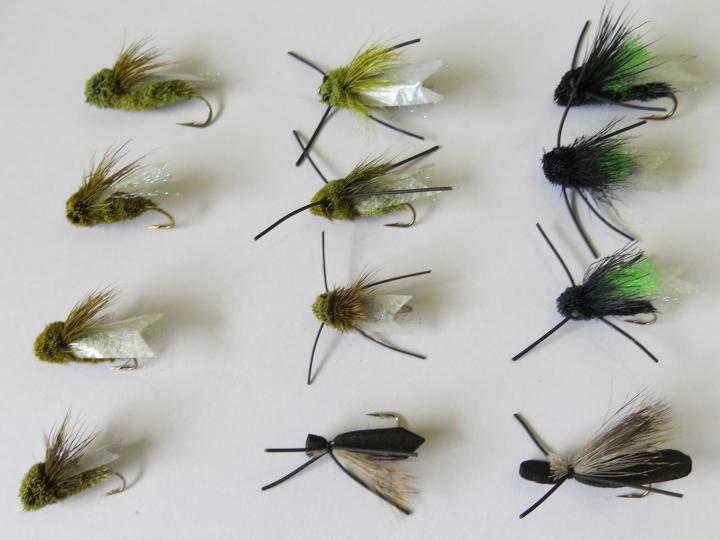 Cicada Dry Fly Pack