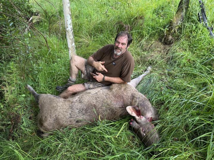 Spider with a sambar