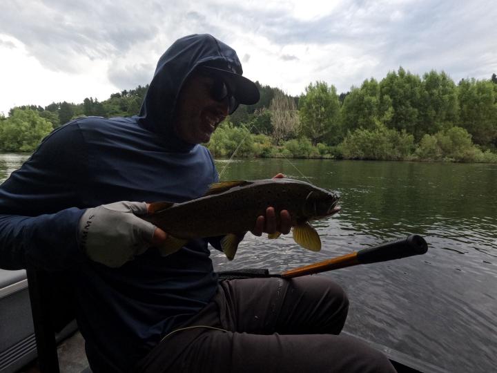 Last trout of the day on a deer hair cicada olive