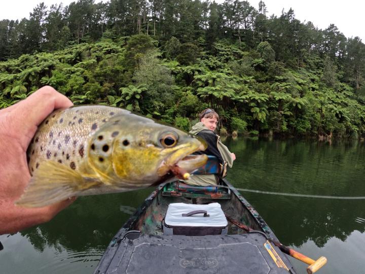 Brown on a bead head bugger
