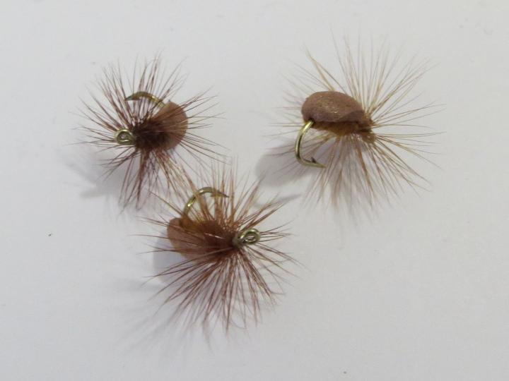Foam brown beetle dry fly