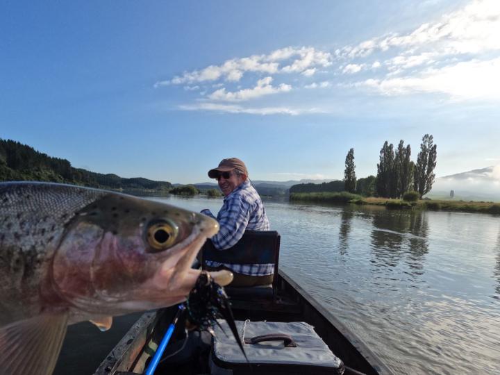 Cone head krystal Black Bugger