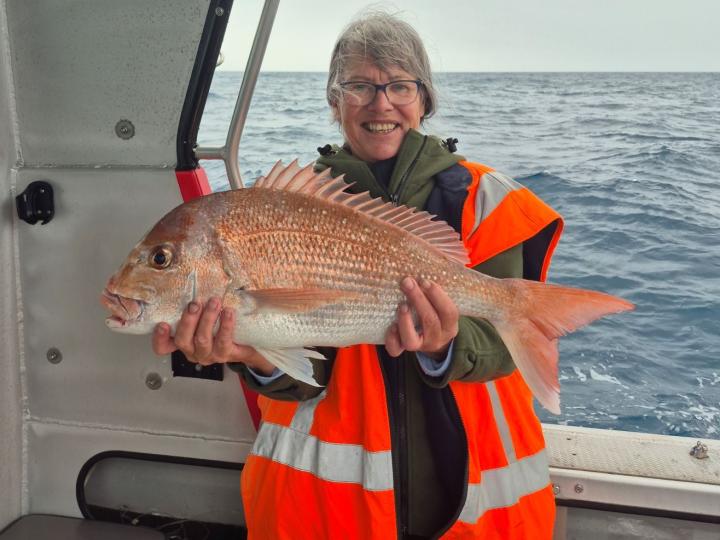 Trish's Snapper