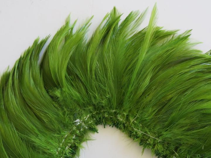 Olive rooster hackle strung feathers closeup