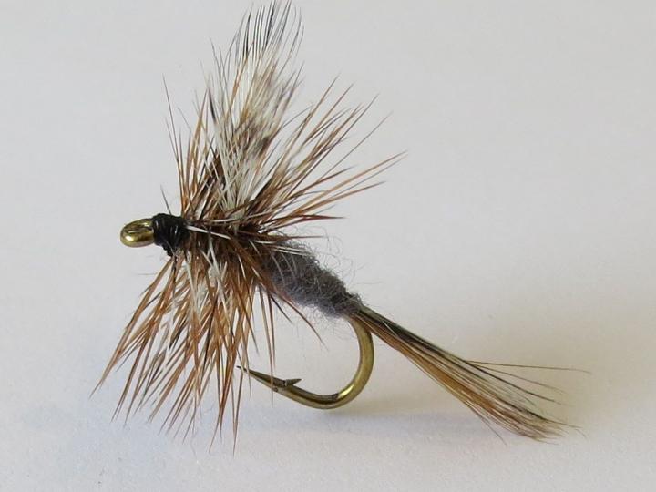 Adams Dry Fly