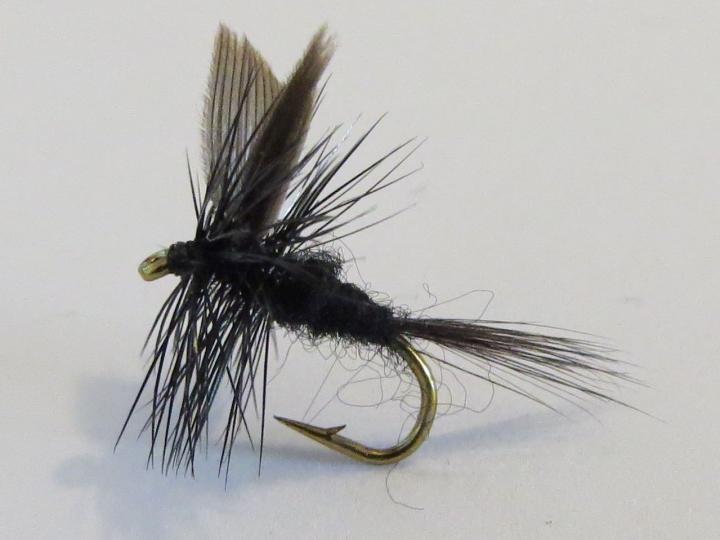 Black Gnat Dry Fly