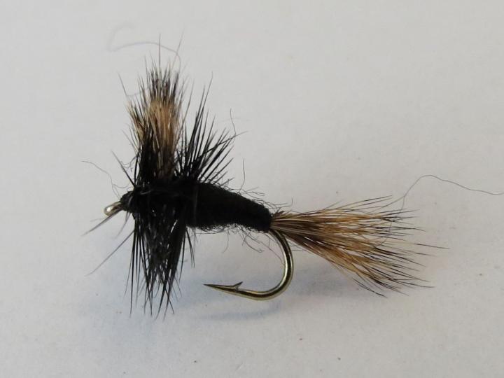 Black Wulff Dry Fly