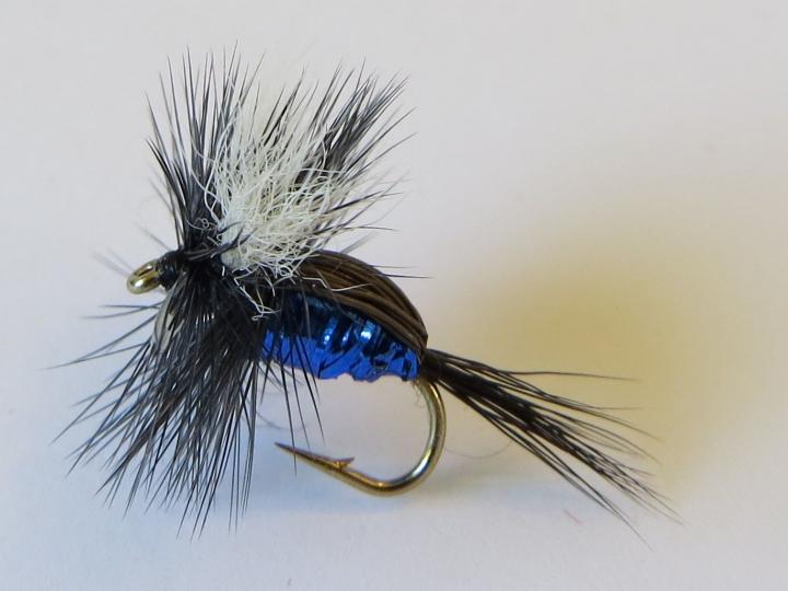 Blue Blowfly Dry Fly