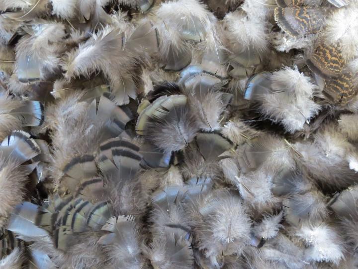 Brown and Bronze Female Feathers Bulk