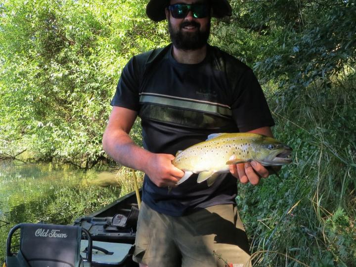 Brown on a White Wulff Dry Fly