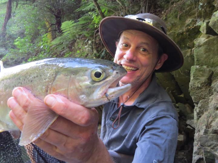 Rainbow on an Adams dry fly