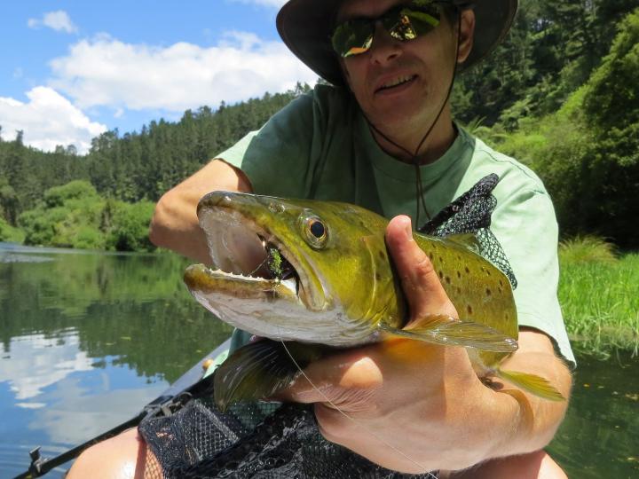 Dan's Brown on a Bead Head Olive and Black Woolly Bugger