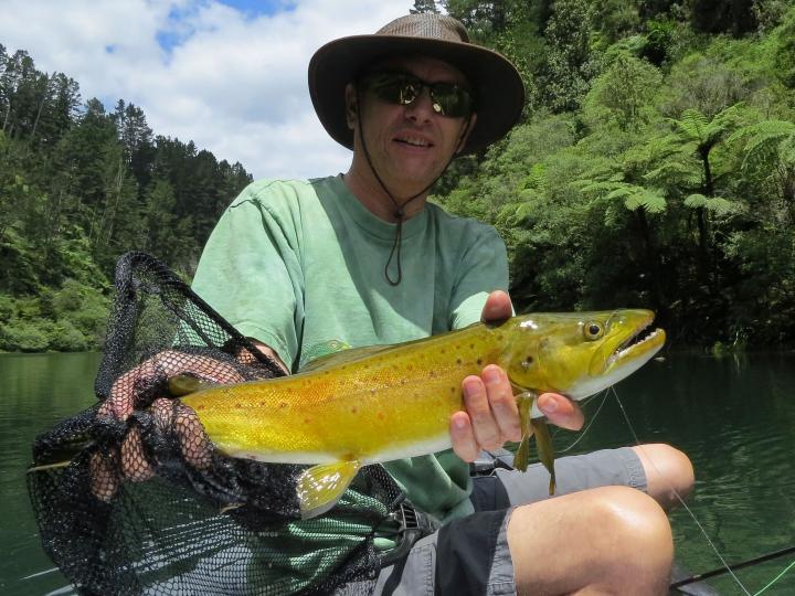 Dan's Brown Trout on a Bead Head Krystal Olive Woolly Bugger