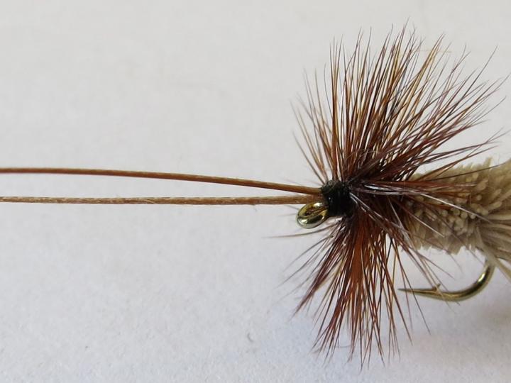 Goddard Caddis Dry Fly Feathergirl