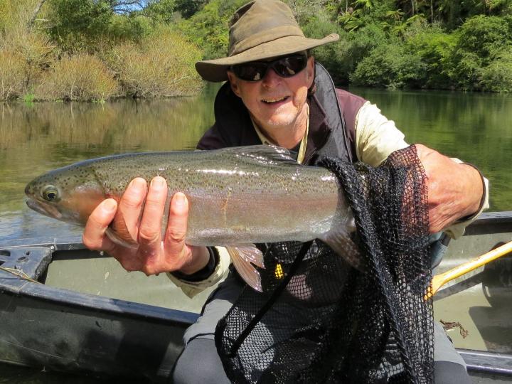 Rainbow Trout on a Goddard Caddis Dry Fly