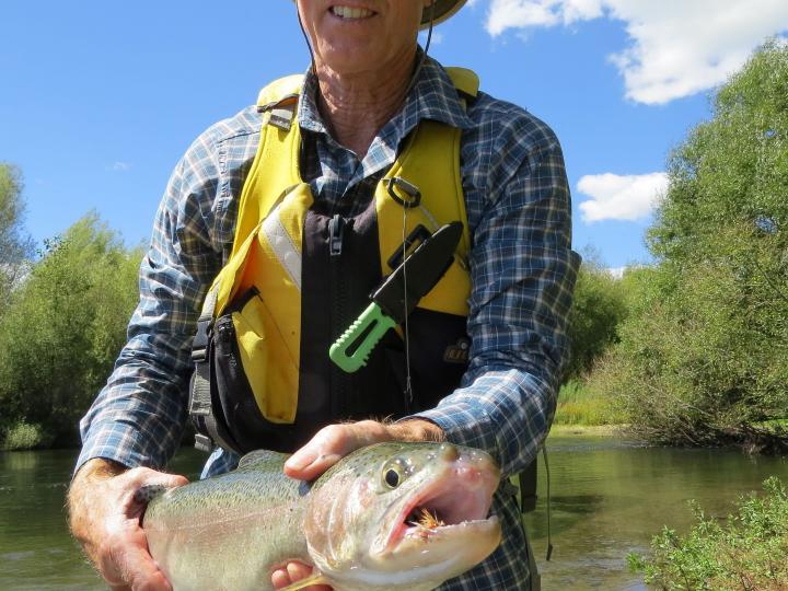 Larr's Big Bow on an Elk Hair Caddis Dry Fly