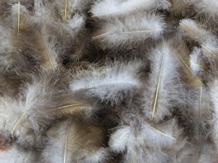 Mixed Marabou Feathers Bulk