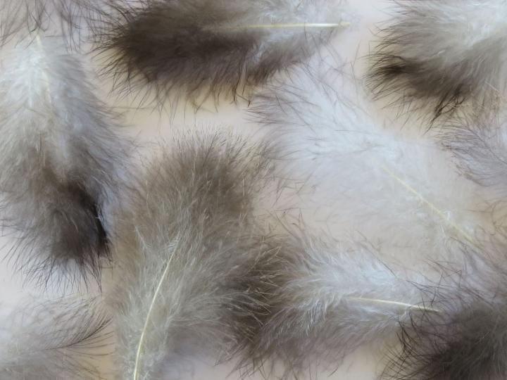 Mixed Marabou Feathers Closeup