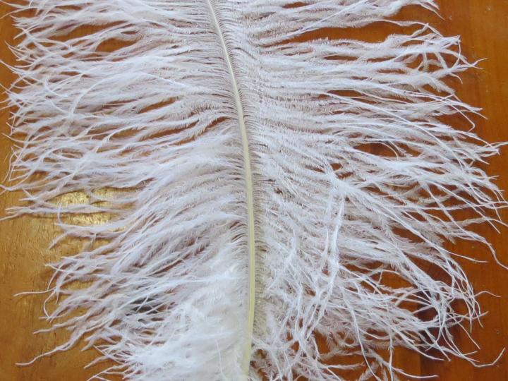 Ostrich Plume 75 cm Feathergirl