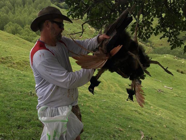 Dave Plucking Peacocks in the Field