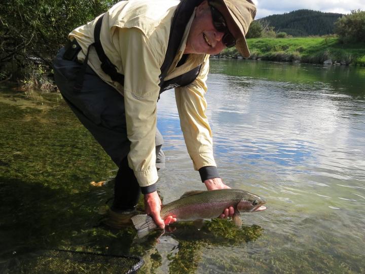 Rainbow Release Caught on an Elk Hair Caddis