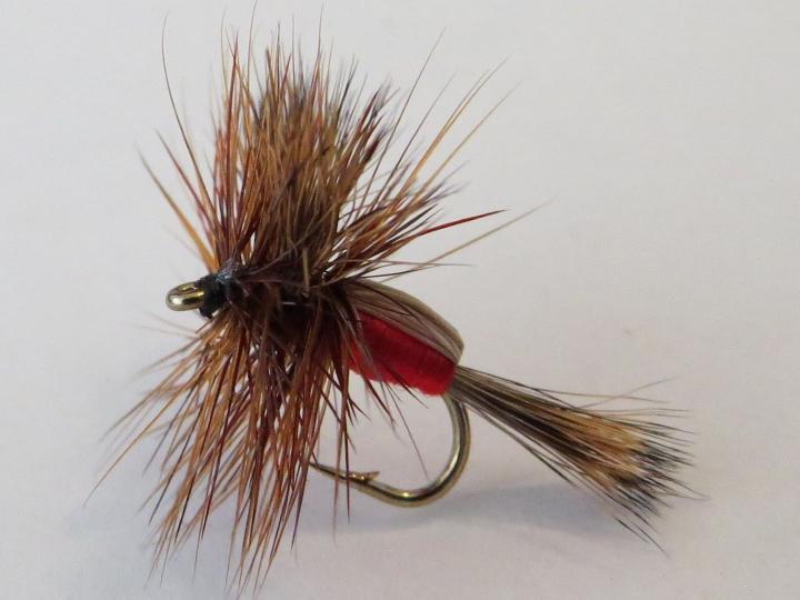 Royal Humpy Dry Fly