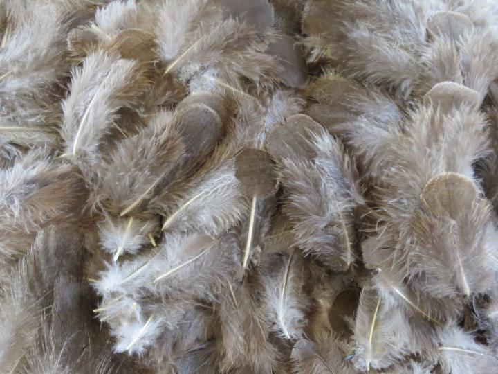 Silver Brown Feathers Bulk