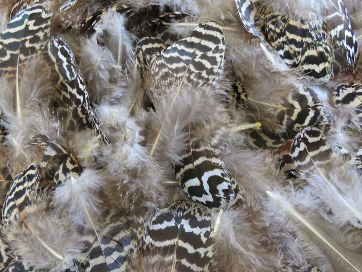 Striped Brown and White Feathers Bulk