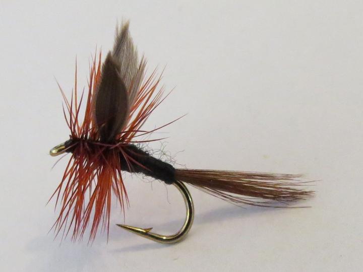 Twilight Beauty Dry Fly