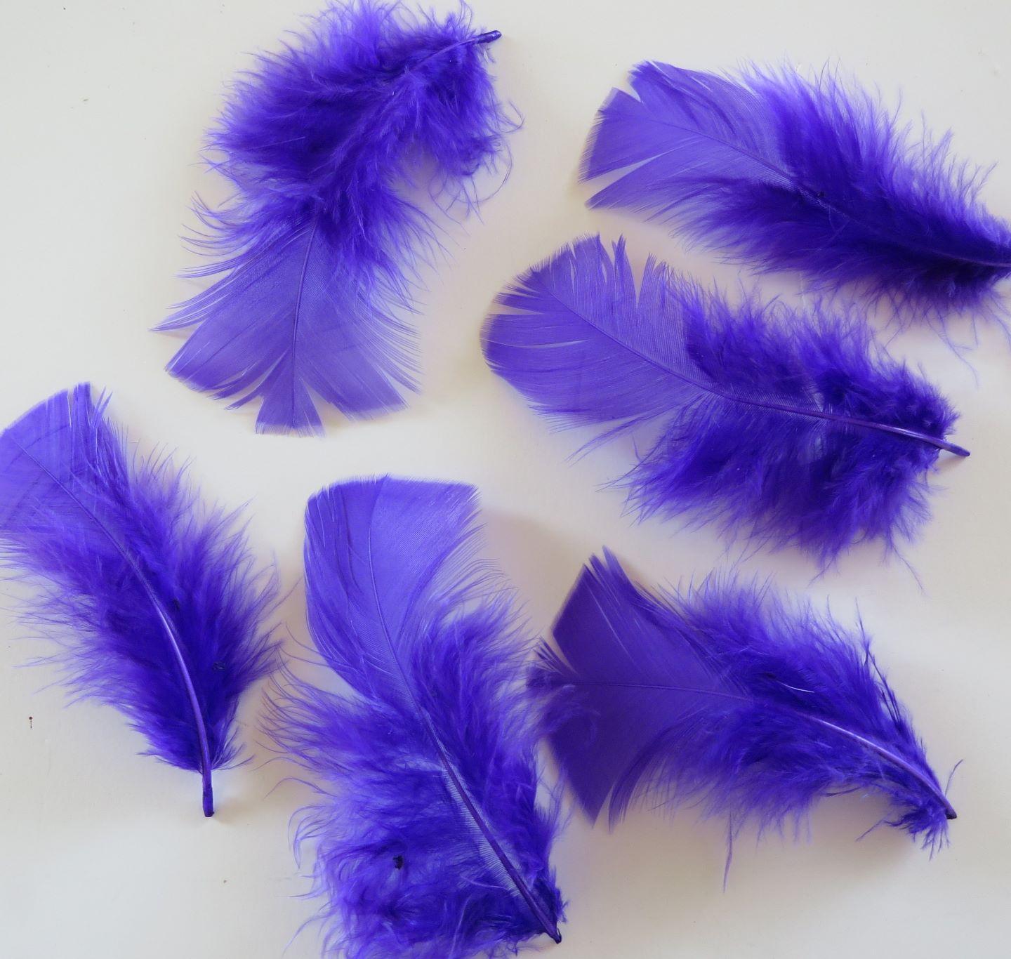 Purple Turkey Plumage Feathers - Feathergirl