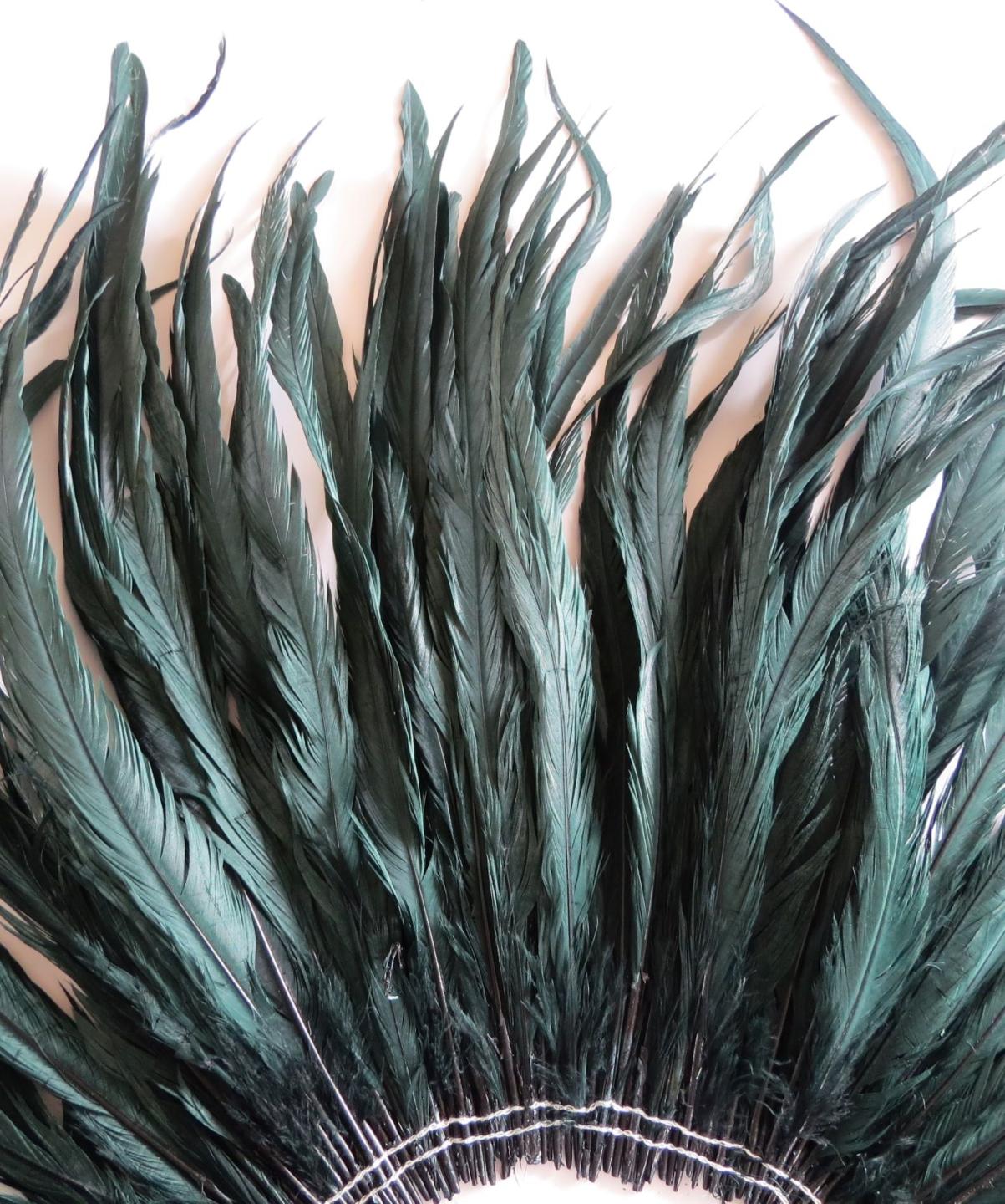 Rooster Tail Feathers