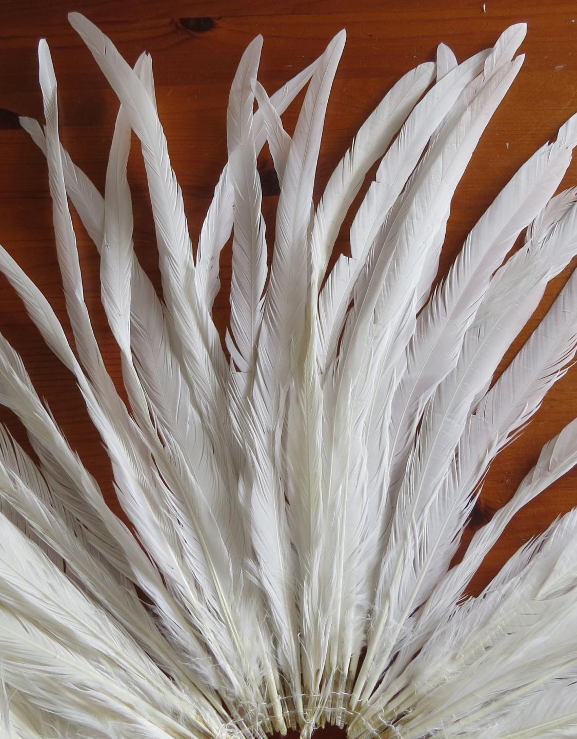 Long Natural White Rooster Tail Feathers - Feathergirl