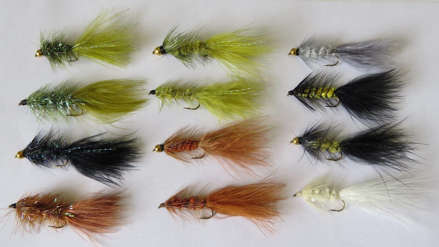 Woolly Bugger Trout Fly Pack - Feathergirl
