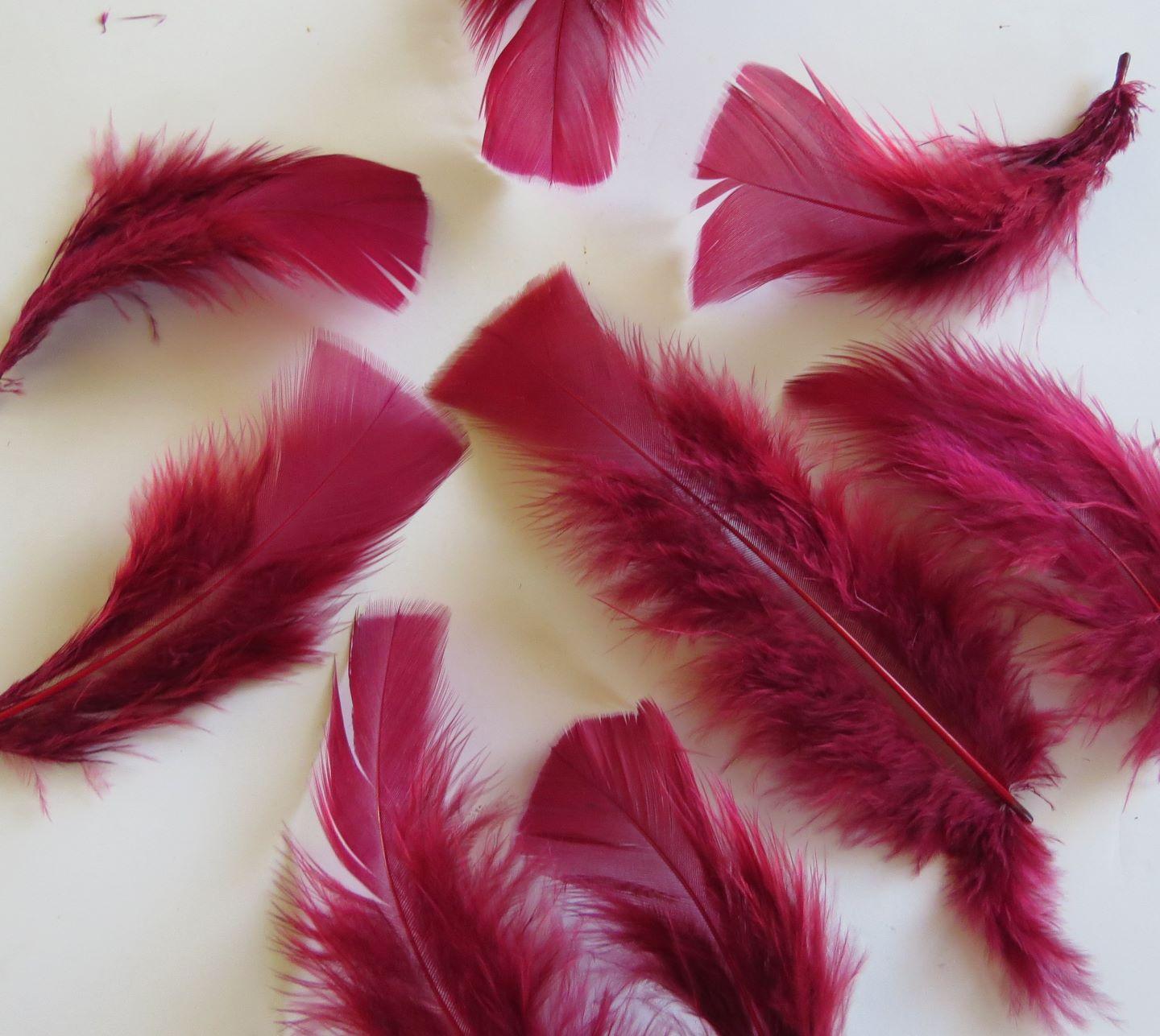 Burgundy Turkey Plumage Feathers - Feathergirl