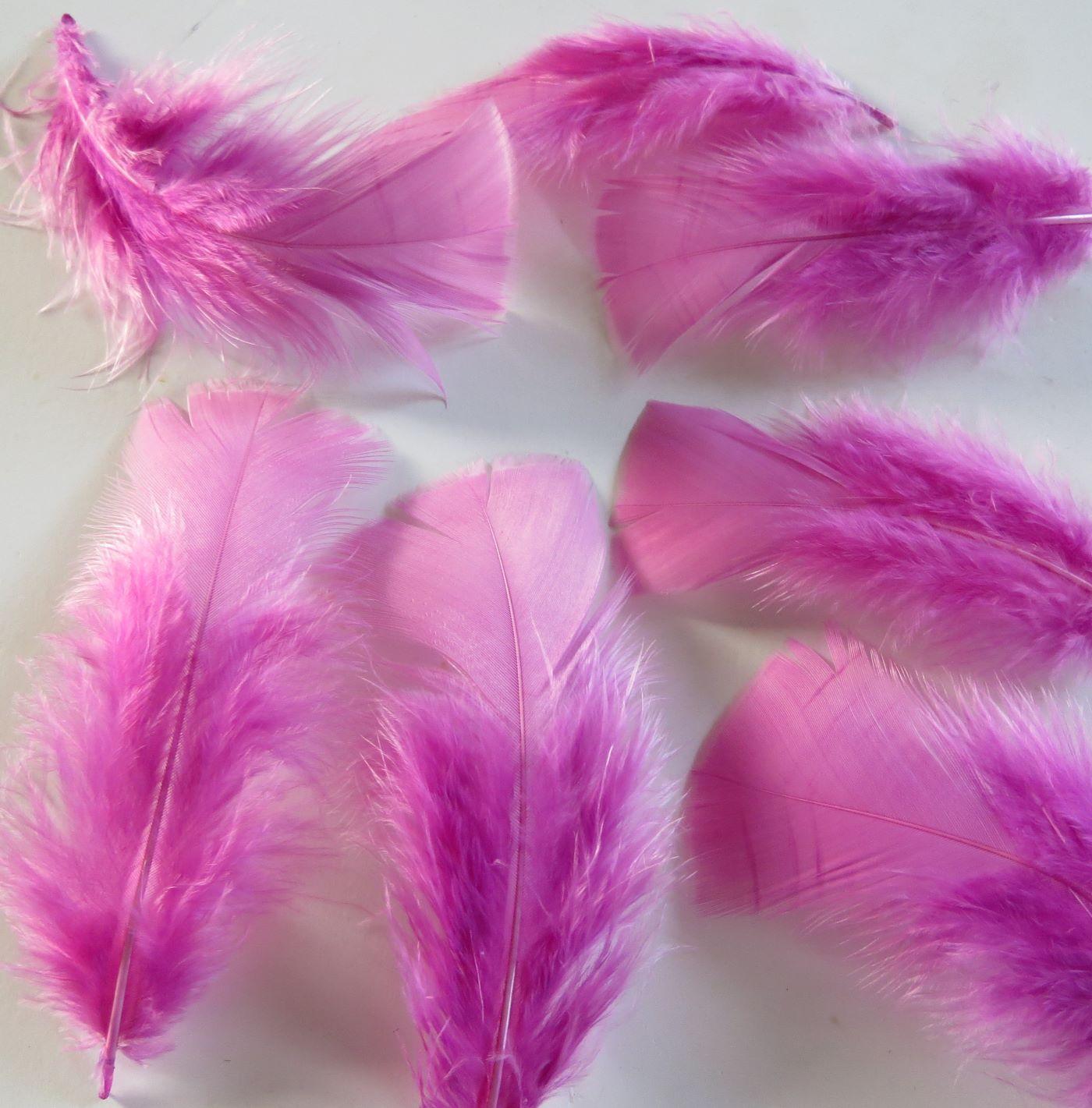 Fairy Pink Turkey Plumage Feathers - Feathergirl