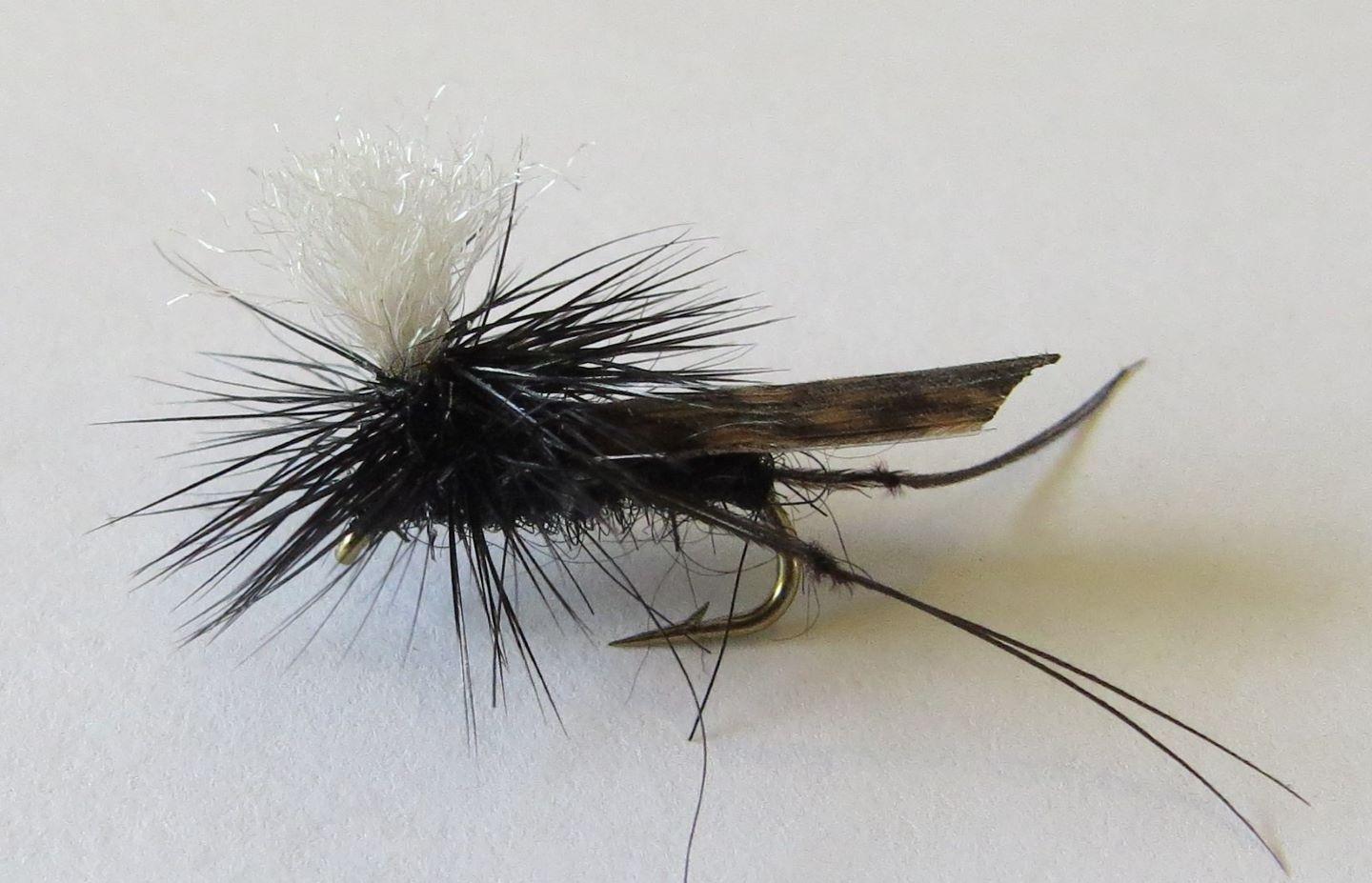 Parachute Black Cricket Dry Fly - Feathergirl