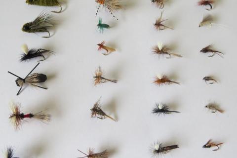 Summertime Trout Fly Pack