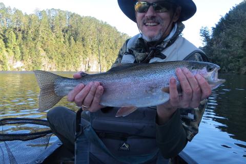 Lake Matahina Rainbow Trout