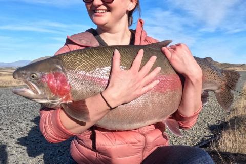 25 Pound Rainbow Trout