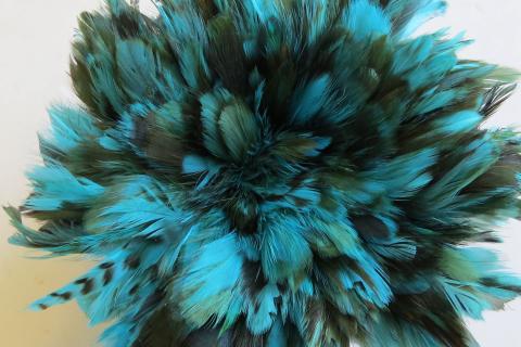 Aqua caramel cream strung schlappen feathers bulk