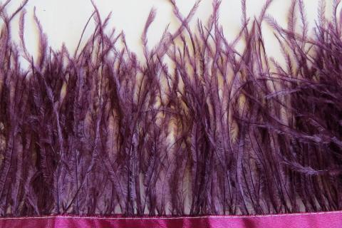 Plum ostrich herl banded