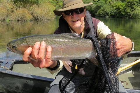 Rainbow Trout on a Goddard Caddis Dry Fly