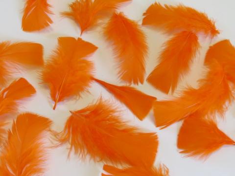 Orange Craft Feathers Turkey Plumage per one ounce package