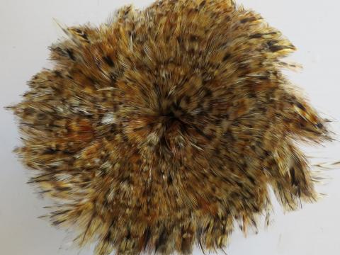 Ginger Hackle Strung Feathers Bulk