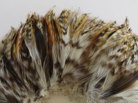 Ginger Hackle Strung Feathers Closeup