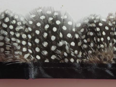 Guinea Fowl Feathers Banded